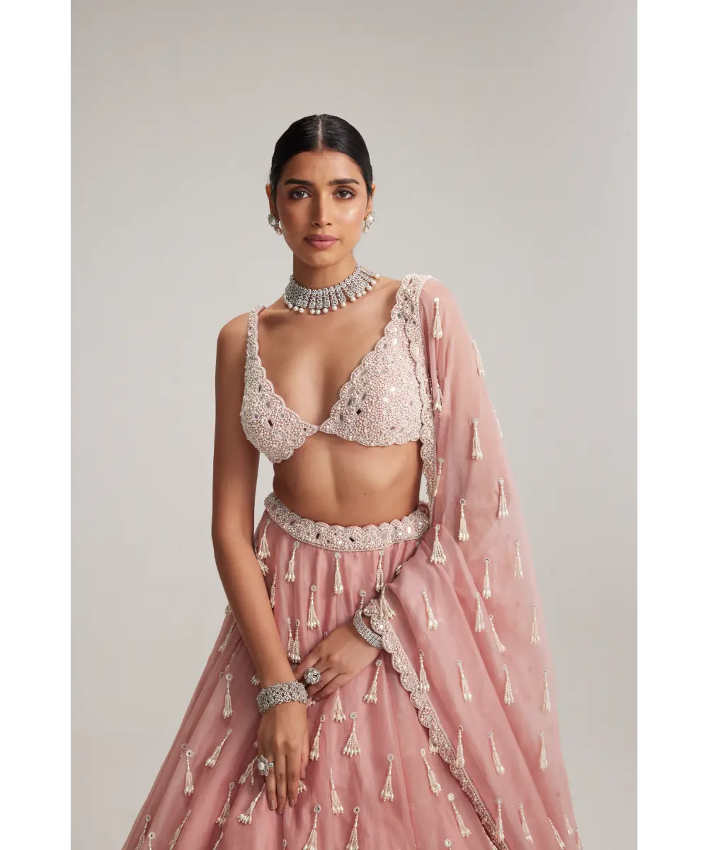 VVANI VATS- Dusty Rose Organza Long Pearl Tassels Lehenga Set